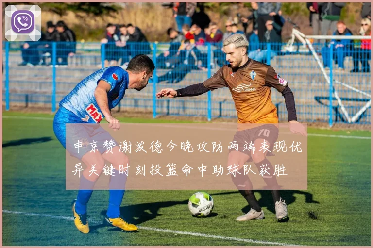 申京赞谢泼德今晚攻防两端表现优异关键时刻投篮命中助球队获胜